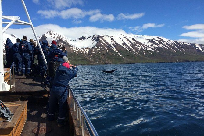 7-Day Complete Iceland: South Coast, Golden Circle, Akureyri & Snaefellsnes - Day 1: Golden Circle + South Coast icons in one big “greatest hits” day