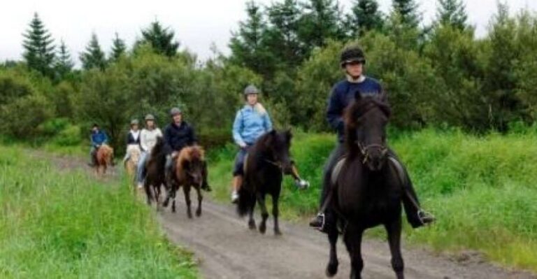 From Reykjavik: Full-Day Horse Riding & Golden Circle Tour - What Icelandic horses feel like (and why first-timers usually do fine)