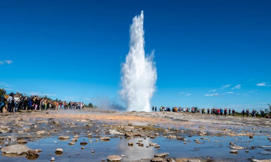 From Reykjavik: Full Day Whale Watching & Golden Circle Tour - What you might spot on the cruise (and what to expect from the search)