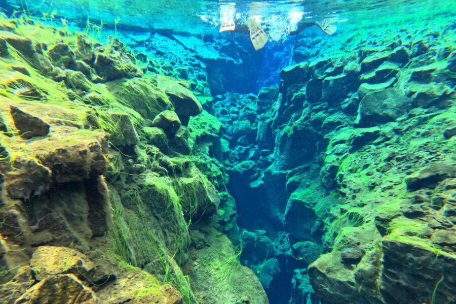 From Reykjavík: Golden Circle Tour and Silfra Snorkeling - Price and value: Why $305 can make sense