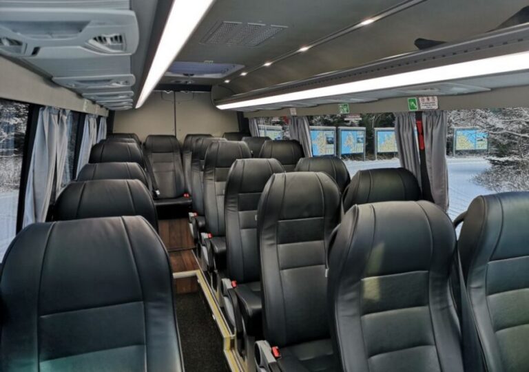 Golden Circle and Kerið Crater Small Group Tour - Reykjavik Pickup and a Max-19 Bus: Comfort That Matters