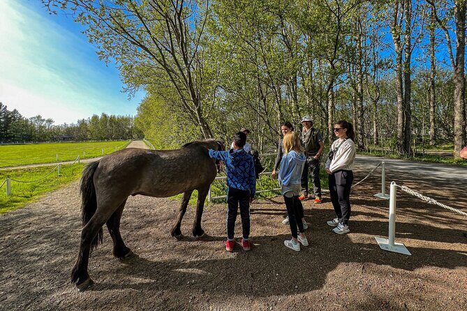 Golden Circle and Lunch at Fridheimar Tomato Farm - with photos - Who This Tour Suits Best (and Who Might Want Something Else)