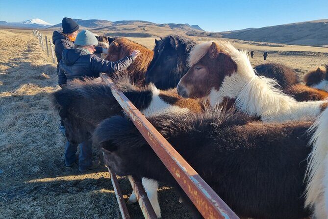 Golden Circle Experience - Private Eco Tour - Gullfoss Waterfall: Multiple Viewpoints and a Local Fight