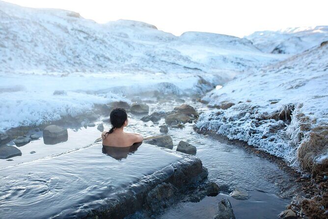 Golden Circle Experience - Private Eco Tour - In the Van: Wi-Fi, Snacks, Water, and Winter-Ready Extras