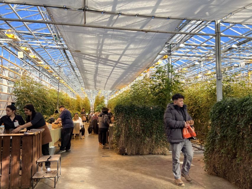 Golden circle, hot spring bakery, tomato farm private tour - Who this tour fits best (and who should look elsewhere)