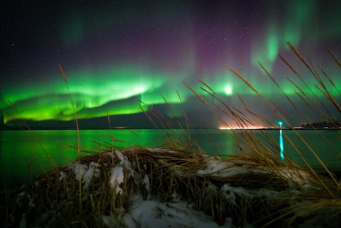 Golden Circle & Northern lights in Iceland - Northern lights bus: how they chase the aurora and why it still might not happen