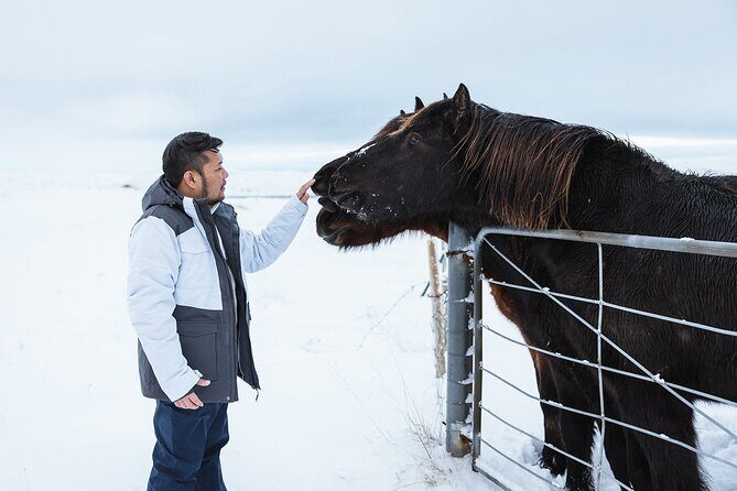 Golden Circle | Private Tour | PRO Photo Package - The Private Golden Circle Formula That Actually Feels Relaxed