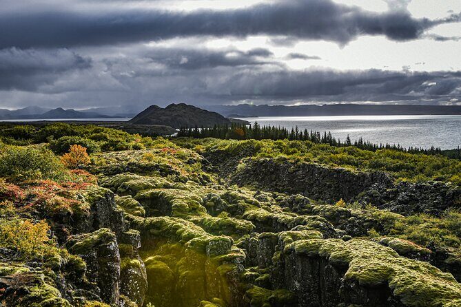 Golden Circle, Secret Lagoon & Friðheimar (Small Group) - Timing, pacing, and how not to feel rushed