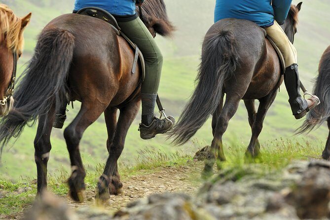 Golden Circle & Viking Horse Experience - Morning route: Þingvellir first, then geyser heat, then Gullfoss roar
