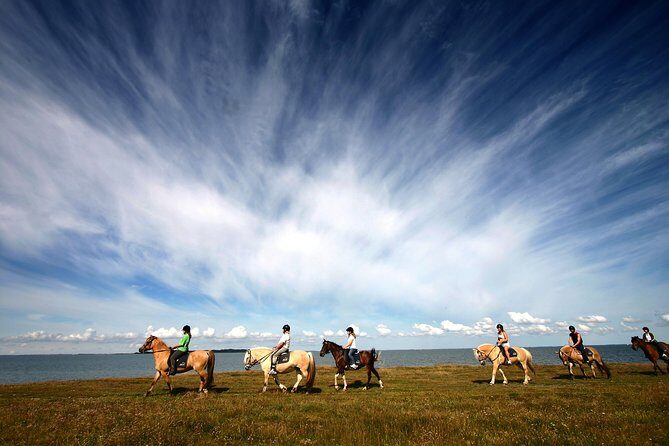 Golden Circle & Viking Horse Experience - Who this tour fits best—and who should reconsider