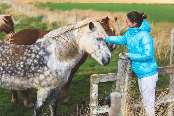 Golden Circle & Viking Horse Experience - Clothing and comfort: the advice that actually saves your day