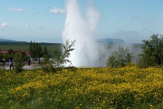 Private Visit Golden Circle Essentials - Value and price: what $1,311 per group really buys