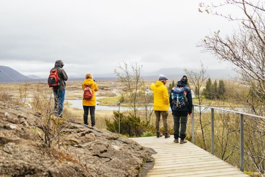 Reykjavik: Golden Circle, Crater & Blue Lagoon Minibus Tour - Price and Value at $252 Per Person