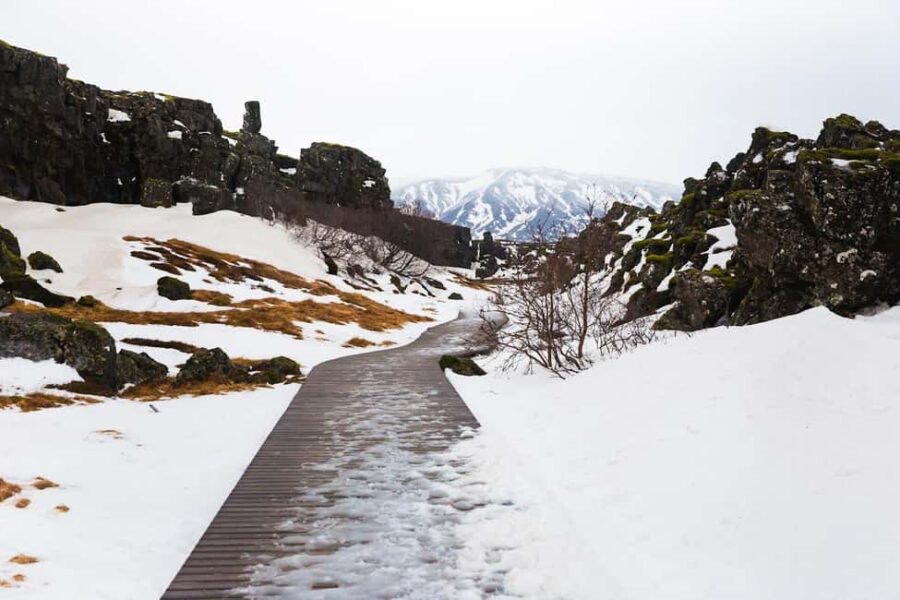 Skarfabakki: Golden Circle Small-Group Full-day Tour - Price and value: is $165 a fair deal?