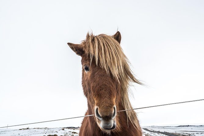 Small-Group Golden Circle Full-Day Tour from Reykjavik - Gullfoss Waterfall: two steps, one thunderous ride