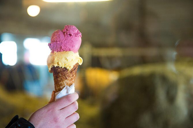 Small-Group Golden Circle Full-Day Tour from Reykjavik - Weather swaps and why flexibility is part of the deal