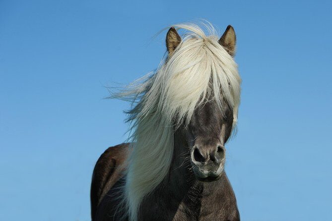 Viking Horse Riding and Golden Circle Tour from Reykjavik - Gullfoss: Two Tiers, Rainbows, and Paths That Let You Move
