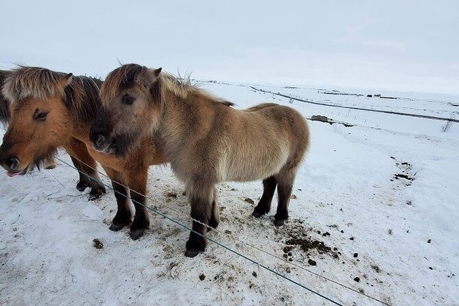 Your private golden circle tour with a personal guide - Gullfoss on the Hvitá River: the waterfall with a rescue story